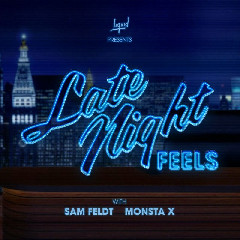 Download Sam Feldt, MONSTA X - Late Night Feels Mp3
